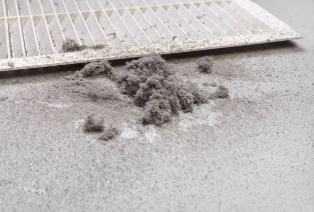 Best Best Air Duct Cleaning Company  in Pleasant Run, OH