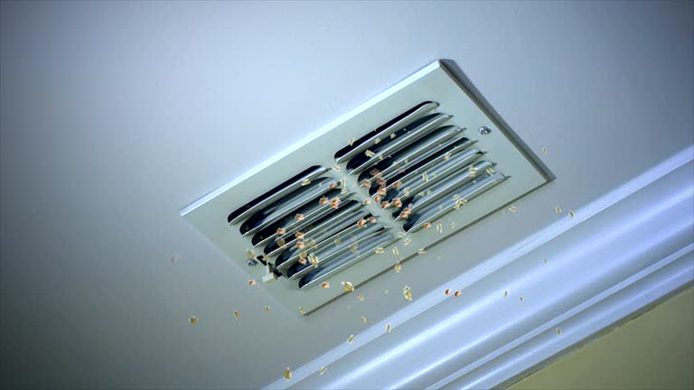 Best Local Air Duct Cleaning Services  in Pleasant Run, OH