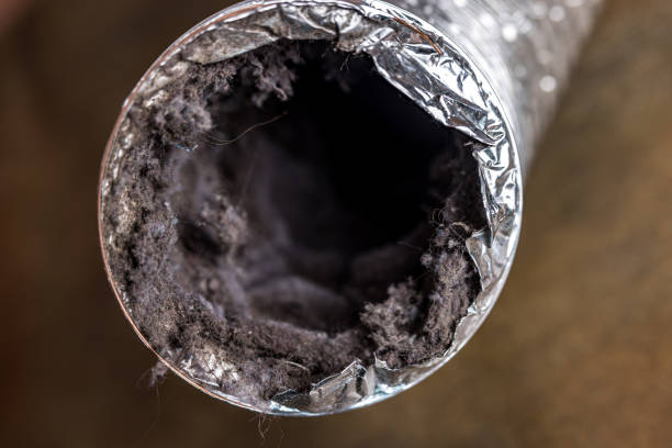 Best Duct Cleaning for Homes  in Pleasant Run, OH